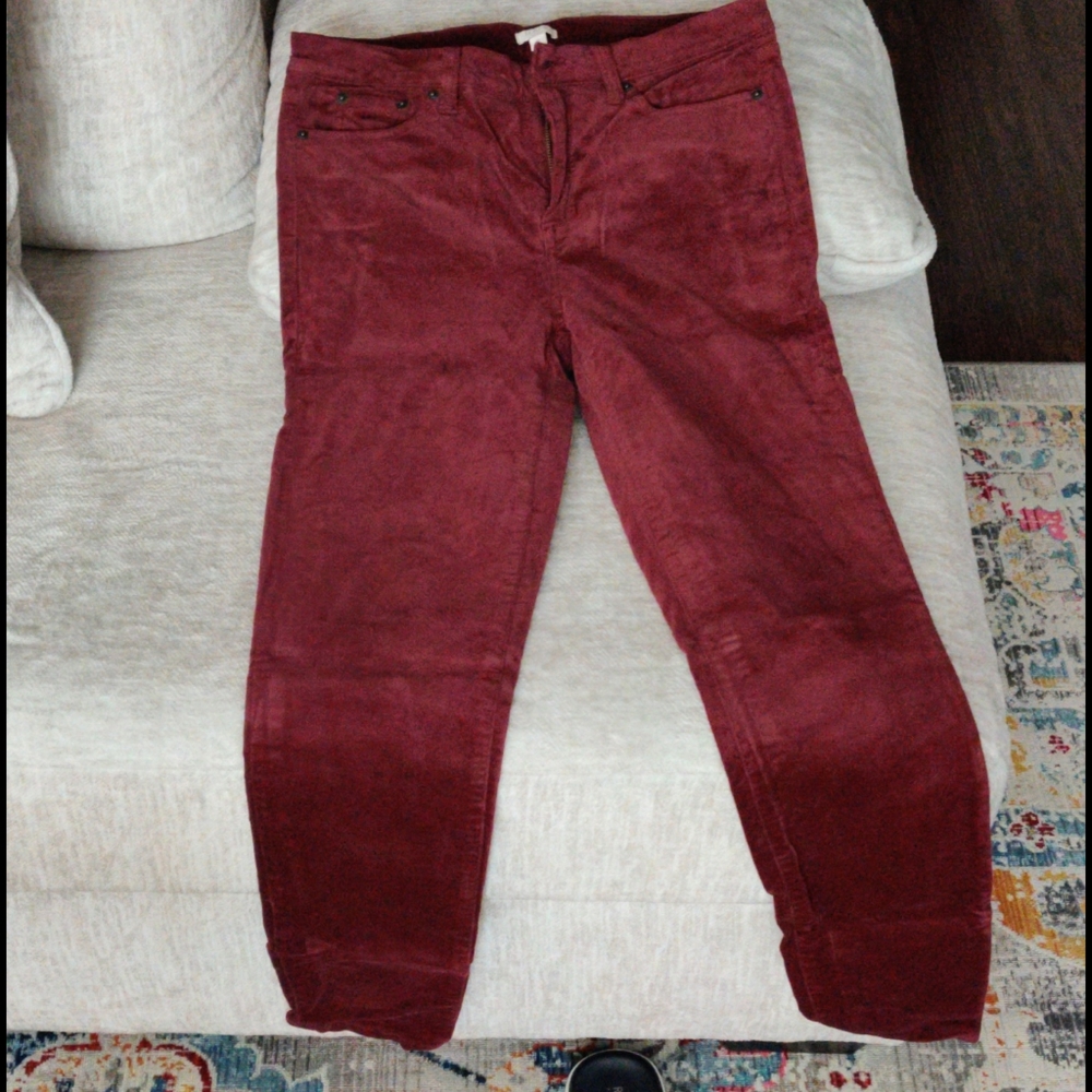 Velour pants